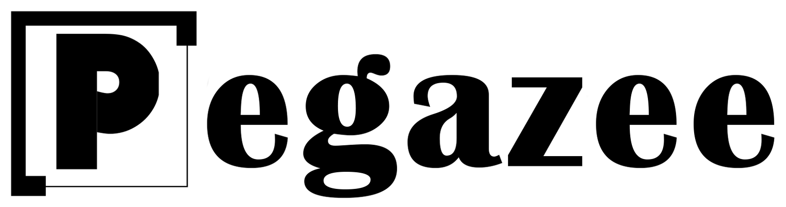new pegazee black old logo - Copy