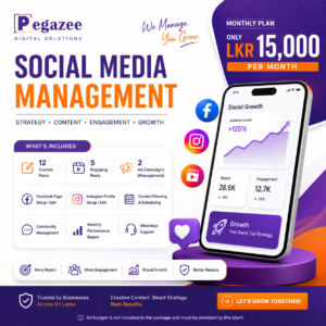 Pegazee Social Media Management Plans